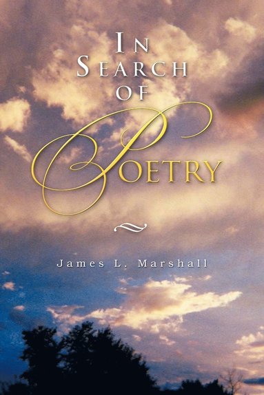 bokomslag In Search of Poetry