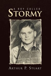 bokomslag A Boy Called Stormy