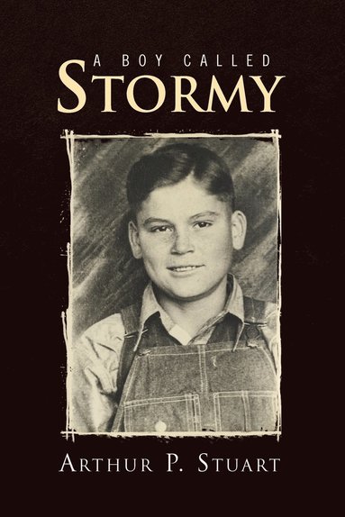 bokomslag Boy Called Stormy