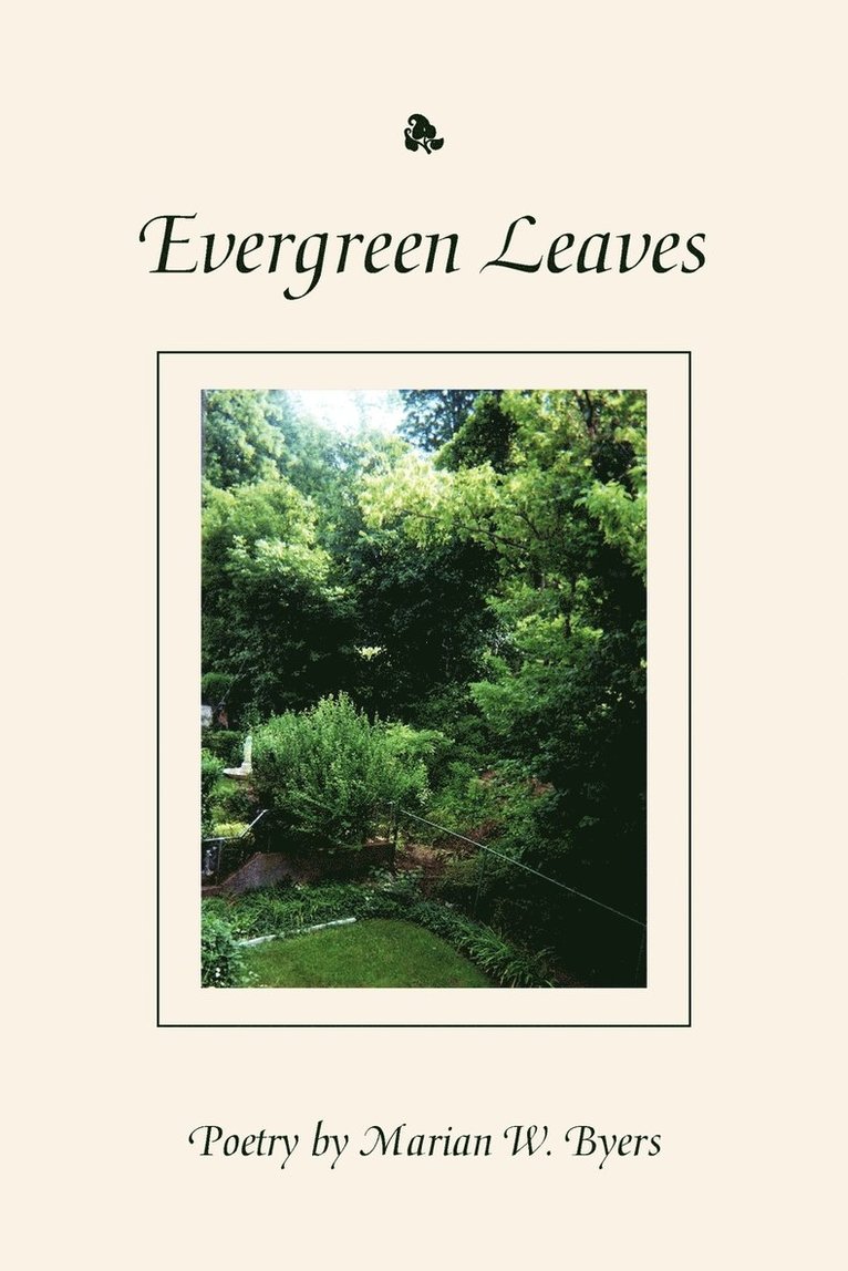 Evergreen Leaves 1