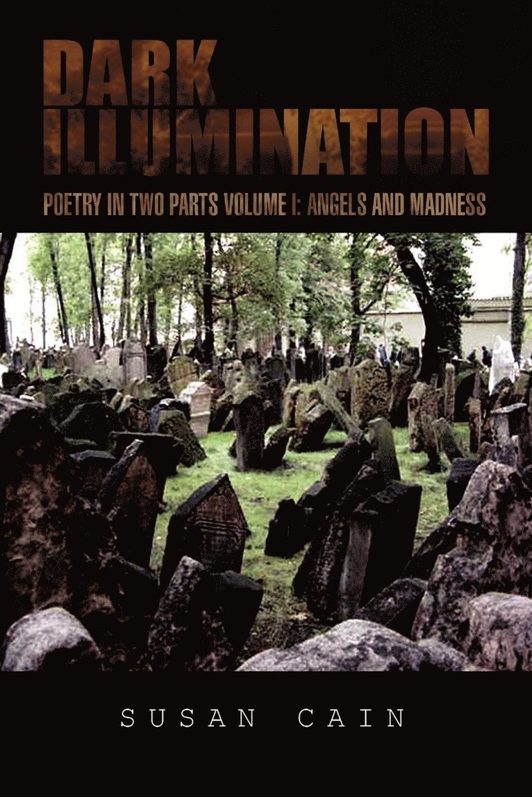Susan Cain - Dark Illumination, Häftad