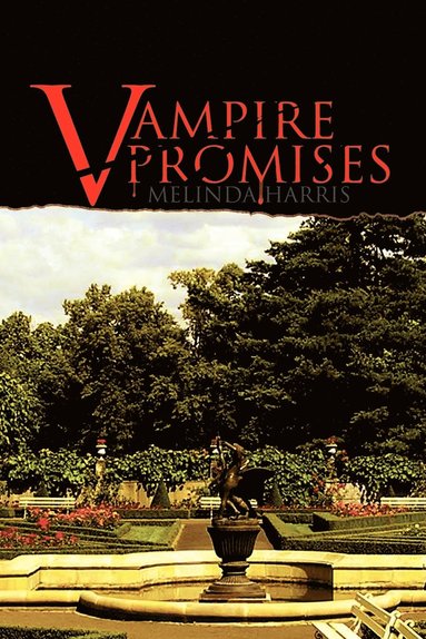 bokomslag Vampire Promises