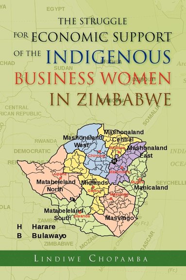 bokomslag Struggle for Economic Support of the Indiginous Business Women in Zimbabwe