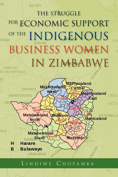 bokomslag The Struggle for Economic Support of the Indiginous Business Women in Zimbabwe