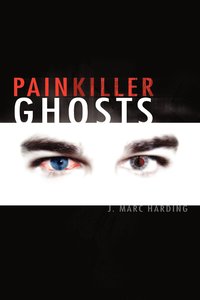 bokomslag Painkiller Ghosts