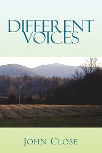 bokomslag Different Voices