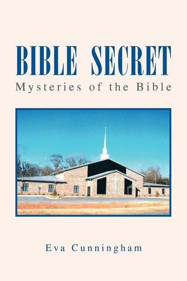 bokomslag Bible Secret