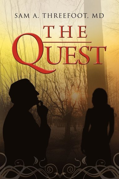 bokomslag Quest