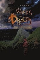 bokomslag Words of Dragon