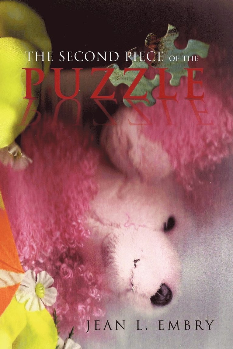 Second Piece of the Puzzle