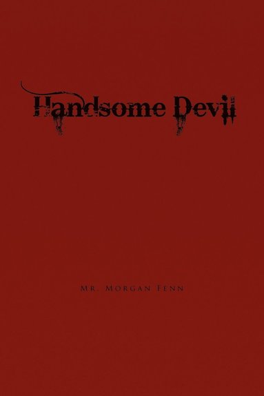 bokomslag Handsome Devil