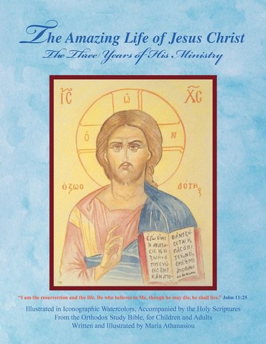 bokomslag Amazing Life of Jesus Christ