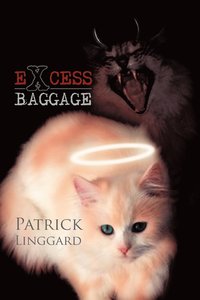 bokomslag Excess Baggage