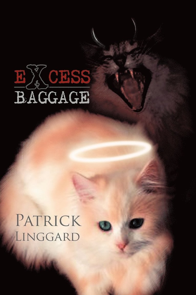 Excess Baggage 1