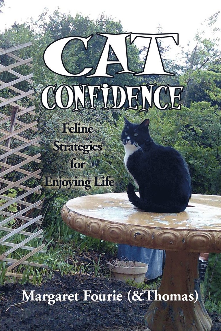 Cat Confidence 1