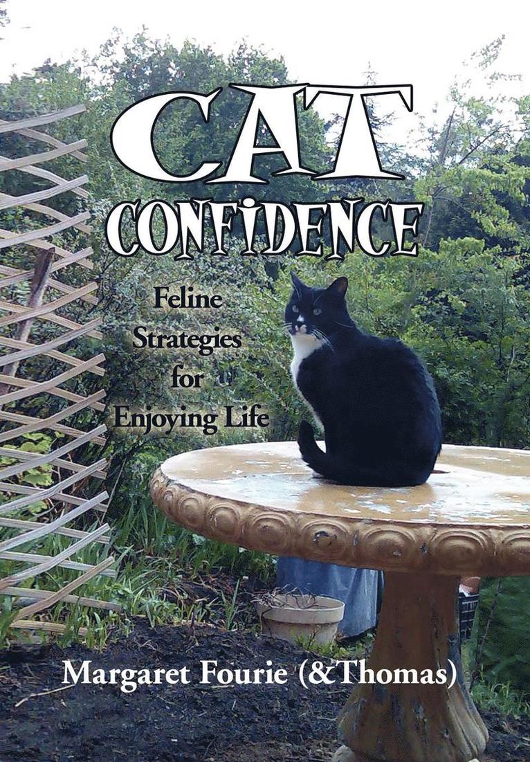 Cat Confidence 1