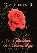 The Cultivation of a Concrete Rose 1