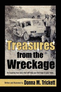 bokomslag Treasures from the Wreckage