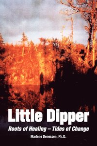 bokomslag Little Dipper