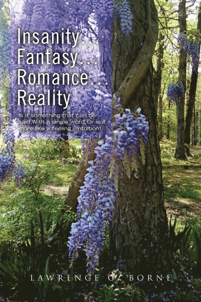 Insanity.Fantasy.Romance.Reality. 1