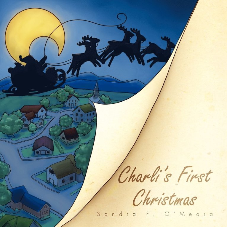 Charli's First Christmas 1