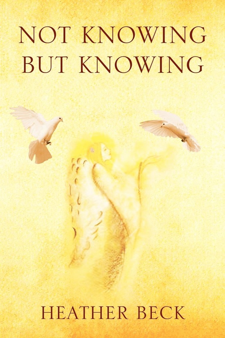 Not Knowing But Knowing 1