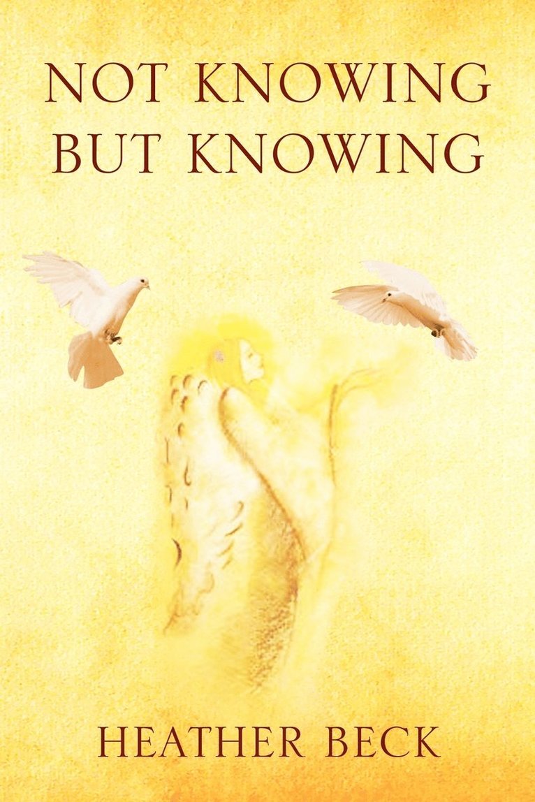 Heather Beck - Not Knowing But Knowing, Häftad