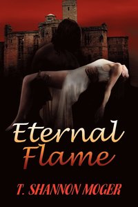 bokomslag Eternal Flame