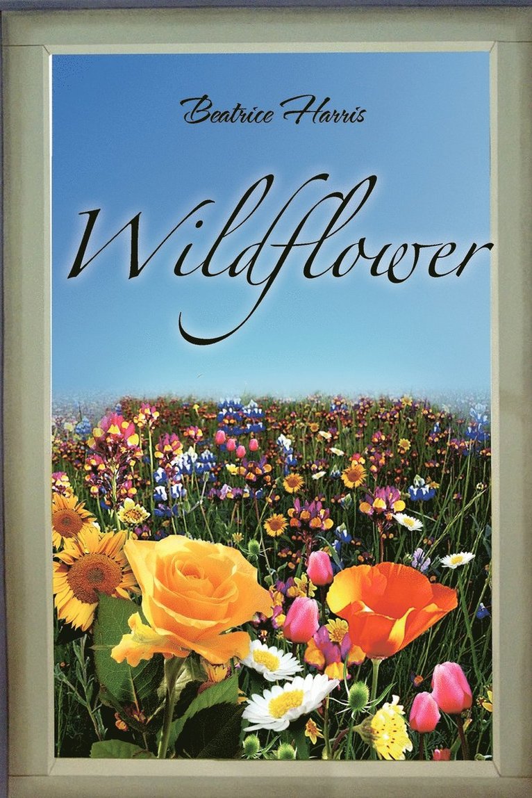 Wildflower 1