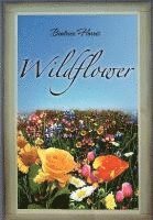 Wildflower 1