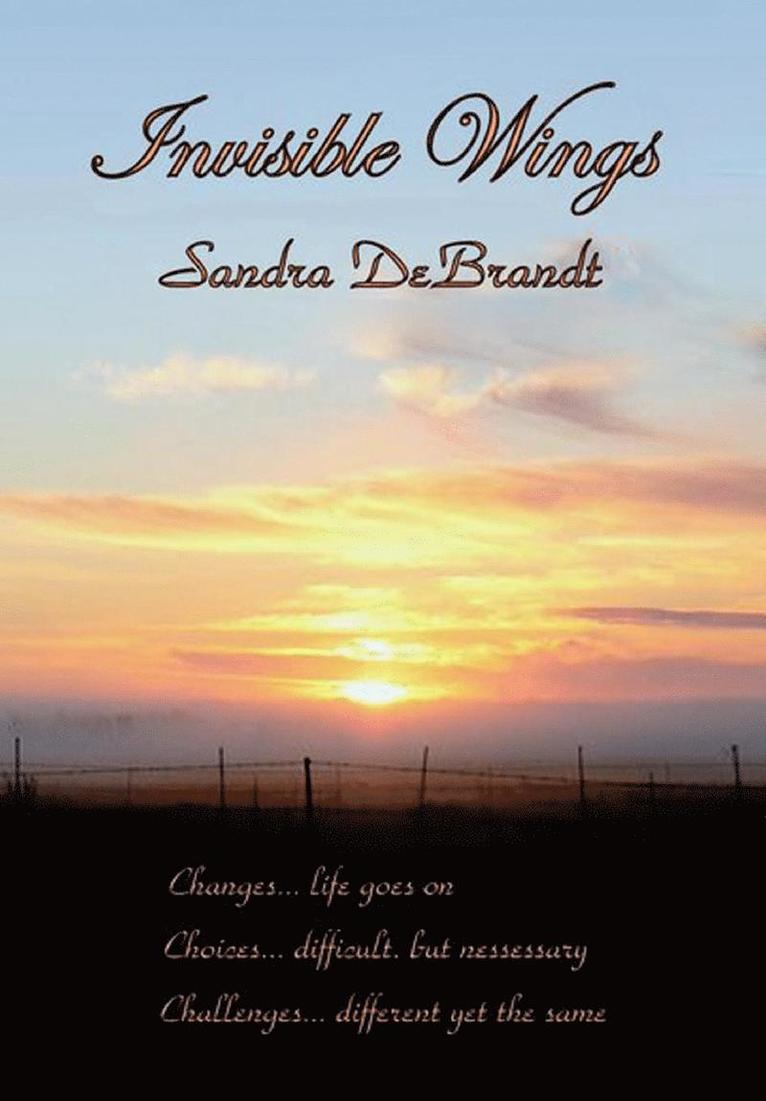 Sandra Debrandt - Invisible Wings, Inbunden