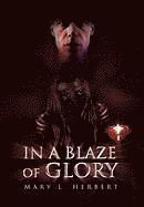 bokomslag In a Blaze of Glory