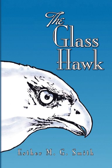 bokomslag Glass Hawk