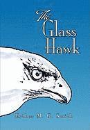 bokomslag Glass Hawk