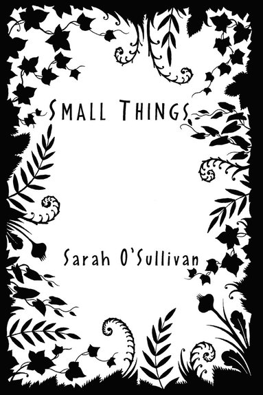 bokomslag Small Things