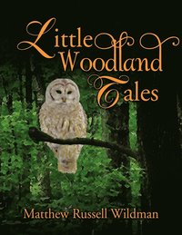 bokomslag Little Woodland Tales