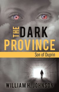 bokomslag The Dark Province