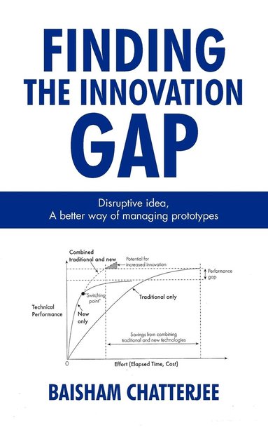 bokomslag Finding the innovation gap