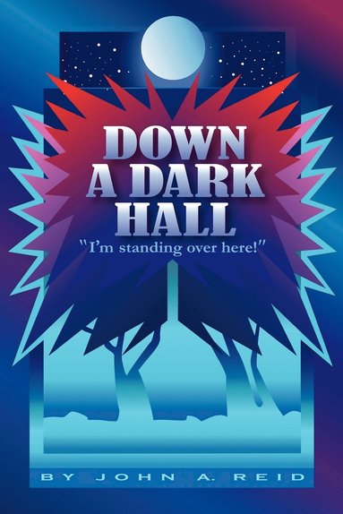 bokomslag Down a Dark Hall