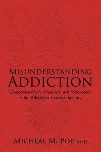 bokomslag Misunderstanding Addiction