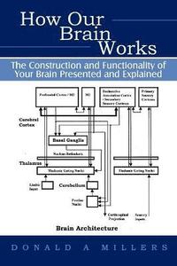 bokomslag How Our Brain Works