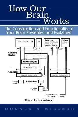 bokomslag How Our Brain Works