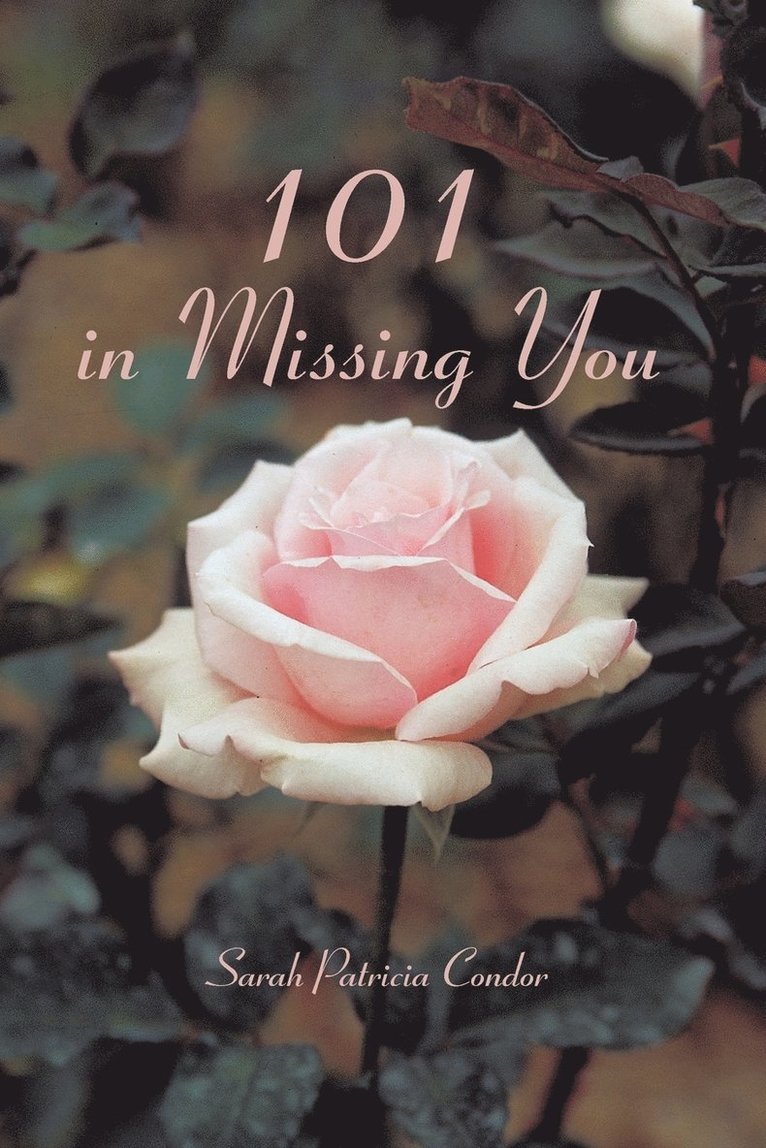 101 in Missing You 1