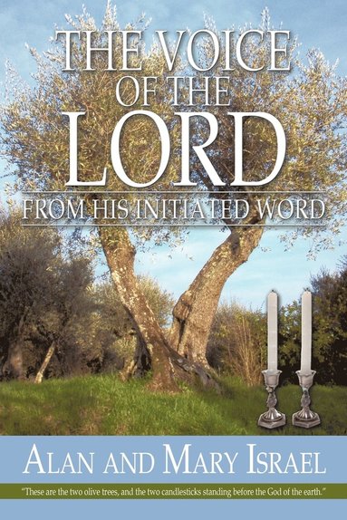 bokomslag Voice of the Lord