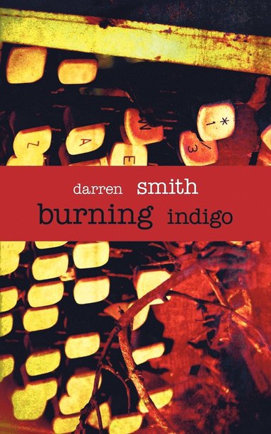 bokomslag Burning Indigo