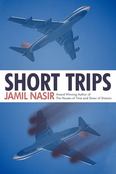 bokomslag Short Trips