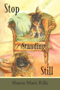 bokomslag Stop Standing Still