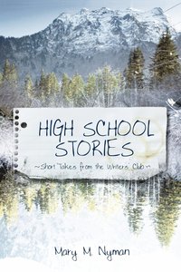 bokomslag High School Stories