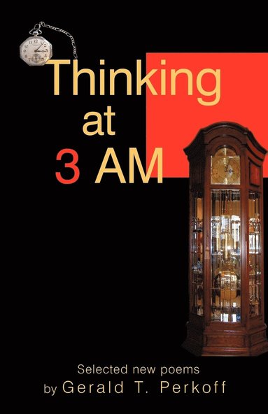 bokomslag Thinking at 3 AM