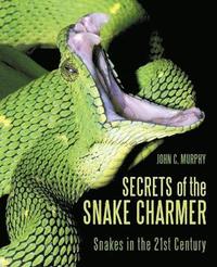 bokomslag Secrets of the Snake Charmer